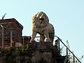 Il leone etrusco