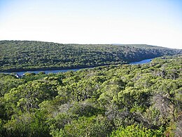 Margaret River river.jpg