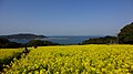 從能古島（日语：能古島）遠望志賀島（左）和海之中道（右）