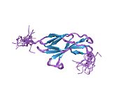 2djs: Solution structures of the fn3 domain of human ephrin type-B receptor 1