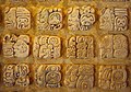 Hijeroglifi Palenquea