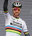 Peter Sagan in 2017: wereldkampioen