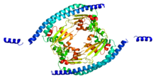 Protein SET PDB 2e50.png