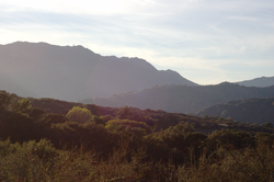 Vue du canyon.