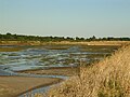 Un paysage de la réserve du Marais d'Yves.