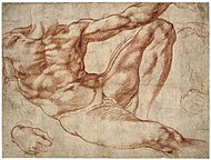 Michelangelo – Studies of a reclining male nude: Adam in the fresco The Creation of Man on the vault of the Sistine Chapel, c. 1511