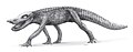 Restauração do Anatosuchus por Todd Marshall (2009).