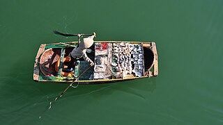 下龙湾的小贩艇