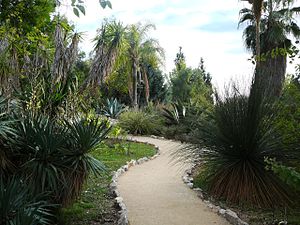 Jardin botanique de Nice.