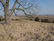 Östliches Iowa, Nähe Kingston: Flussland am Mississippi