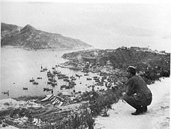 第229聯隊隊長田中良三郎大佐在攻佔香港後，從山坡上俯瞰愛秩序灣。第229聯隊自開戰起便以東線入侵，於12月18日在愛秩序灣登陸，攻佔鯉魚門炮台後，於19日分兩路向大潭水塘東西兩側推進，第2大隊進攻大潭峽，而第3大隊與另外兩支聯隊不約而同於次日進攻渣甸山，使黃泥涌峽一帶的英軍措手不及；第229聯隊第1大隊則於19日接替第230聯隊圍攻北角發電廠。