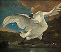 Jan Asselyn, Le Cygne menacé, vers 1640-1652 [voir l'article du peintre pour une interprétation du tableau] et [1]