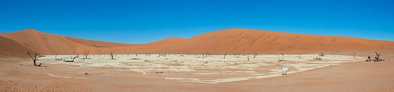 'n Panoramiese uitsig oor die Dooievlei met dooie kameeldorings (Vachellia erioloba), Namib-Naukluft Nasionale Park, Namibië.