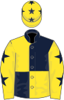 Dark Blue and Yellow (quartered), Yellow sleeves, Dark Blue stars and stars on cap