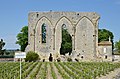 Ruine der Dominikanerkirche