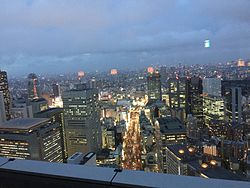 Vue du New York Bar au Park Hyatt