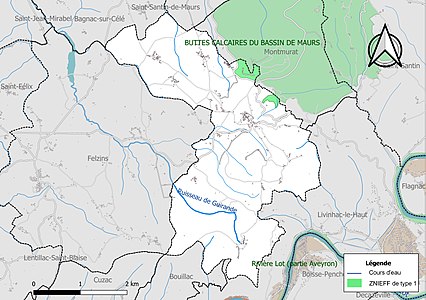 Carte de la ZNIEFF de type 1 sur la commune.