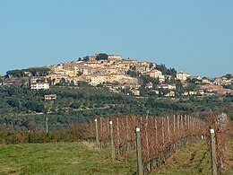 Castagneto Carducci – Veduta