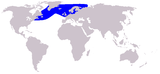 Aire de répartition du Lagénorhynque à rostre blanc