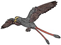 Changchengornis