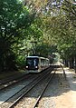 Tramway en provenance de Lille, station Parc Barbieux, devant l'Edhec.