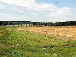 Les buttes de Rosne.