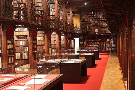 Salono Nottebohm en la heredaĵbiblioteko Hendrik Conscience (EHC) en trovigante en la Korte Nieuwstraat, Antverpeno, Belgio.