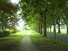 Usa ka Avenue sa Varennes-Le-Grand