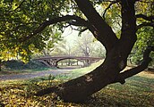 Unu de les pontes del parque; nun hai dos iguales.