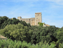 A general view of La Capelle-et-Masmolène