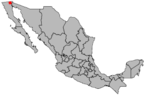 Mexicali, Mishiku