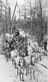 Image 1Logs being transported on a sleigh after being cut (from History of Wisconsin)