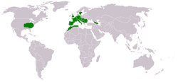 Distribución mundial de Ornithogalum umbellatum