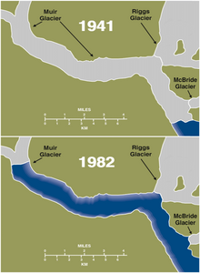 Rückzug der Gletscher am Muir Inlet zwischen 1941 und 1982