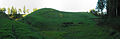 Šeiminyškėlių piliakalnis iš vakarų pusės