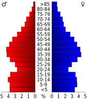 Bevolkingspiramide Morgan County