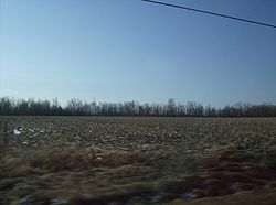 A farm field in Kirkland Township