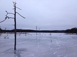 Sjön Läen vintertid