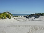 Sand dunes at Padre Island National Seashore