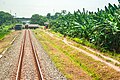 The former branch line railbed to Port of Bojanegara (right)