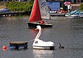 Petra, un cygne noir amoureux d'un pédalo en forme de cygne du lac de Münster, en Allemagne