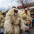 Busójárás, Mohács, Hongrie.