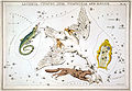 Représentation des constellations du Lézard, du Cygne, du Petit Renard et la Lyre, 1825