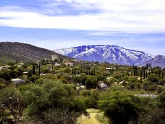 Southern view of Mt. Lemmon from Oracle, Arizona