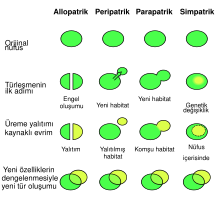 Speciation modes tr.svg