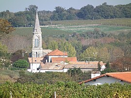 View of Barzan village