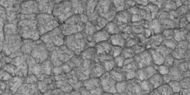 Close-up of high center polygons seen by HiRISE under HiWish program Troughs between polygons are easily visible in this view. Location is Ismenius Lacus quadrangle.