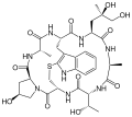 Phalloidin (als Beispiel für Phallotoxine)