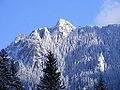 Des aiguilles dans le massif du Ceahlău en Roumanie.