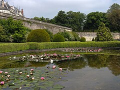 Le grand bassin du jardin bas.